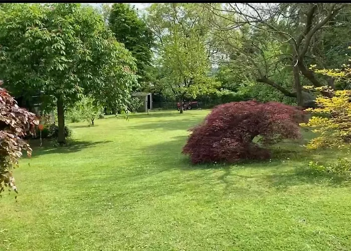 Ferienhaus My Happy Garden 1500sq M Ochsenfurt